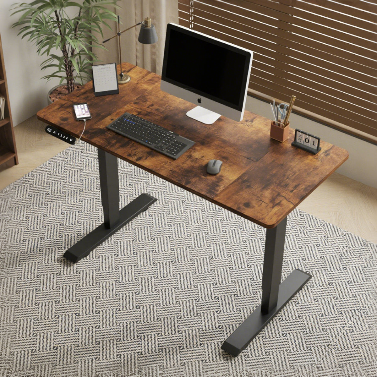 48" Electric Standing Desk Oak | Height Adjustable Office Table